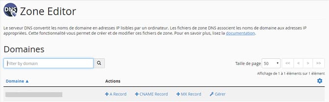 Editeur_zone_DNS_cpanel