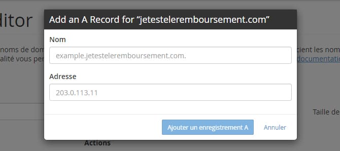 cpanel_Editeur_zone_DNS