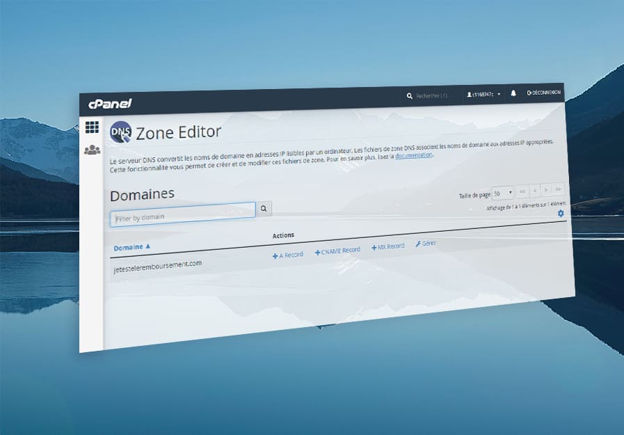 Éditeur de zone DNS cPanel