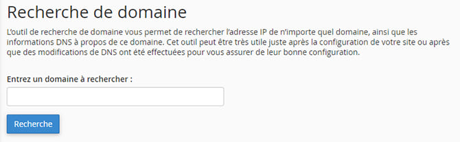 Recherche_de_domaine_DNS