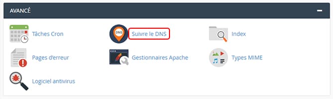 Suivre_le_DNS